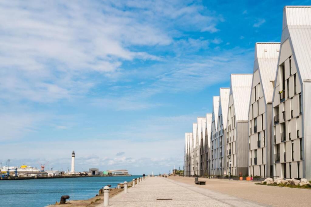 Studio Cosy En Bord De Mer 敦刻尔克 外观 照片