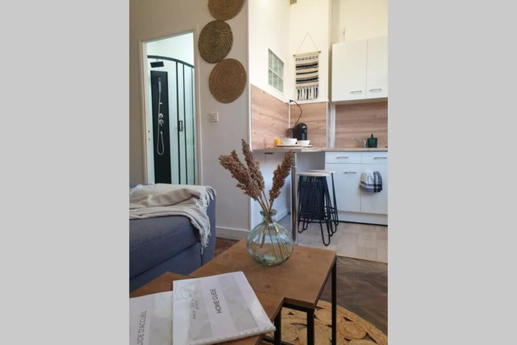 Studio Cosy En Bord De Mer 敦刻尔克 外观 照片